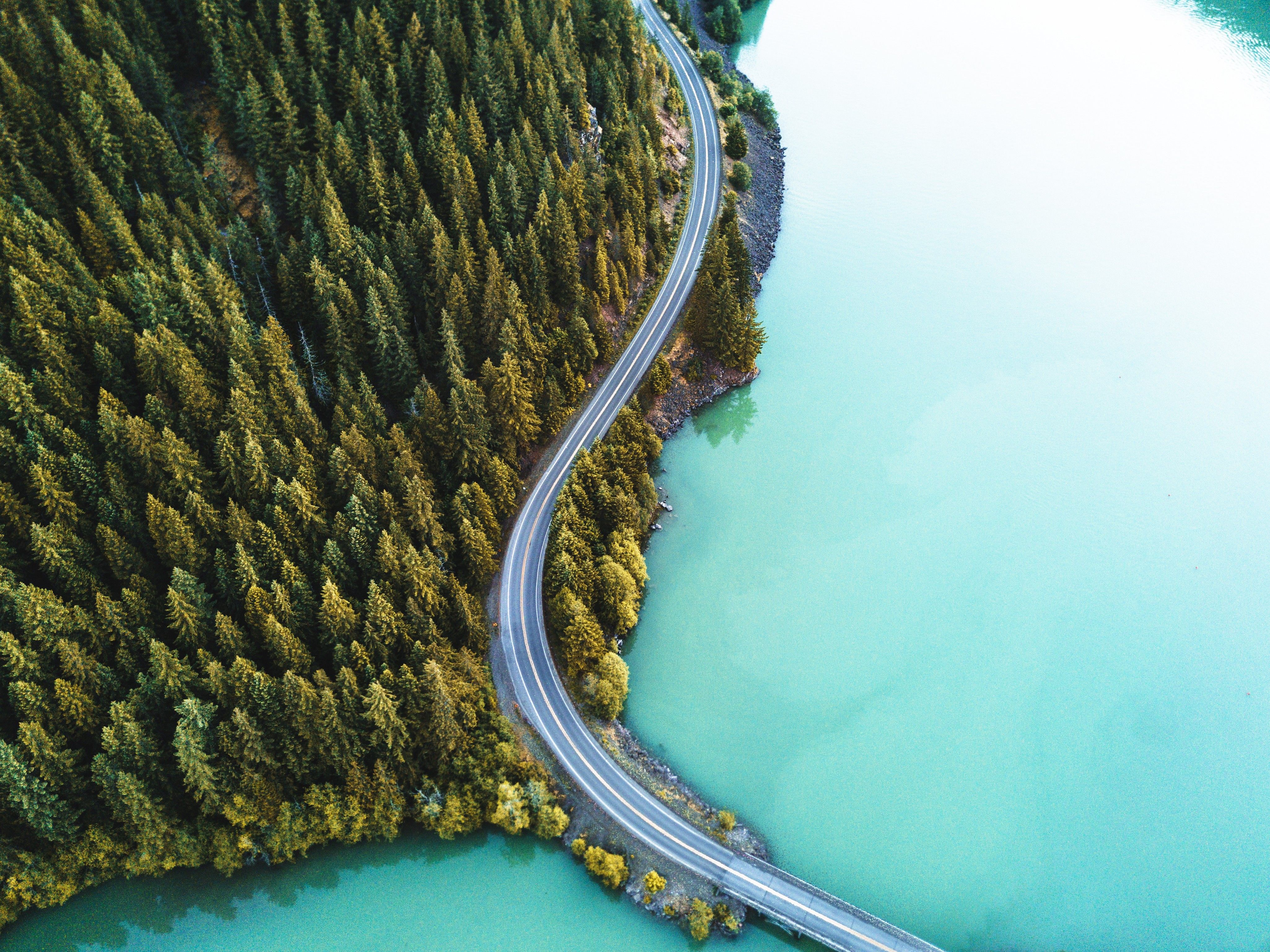A road winds over blue water and through green pine trees.