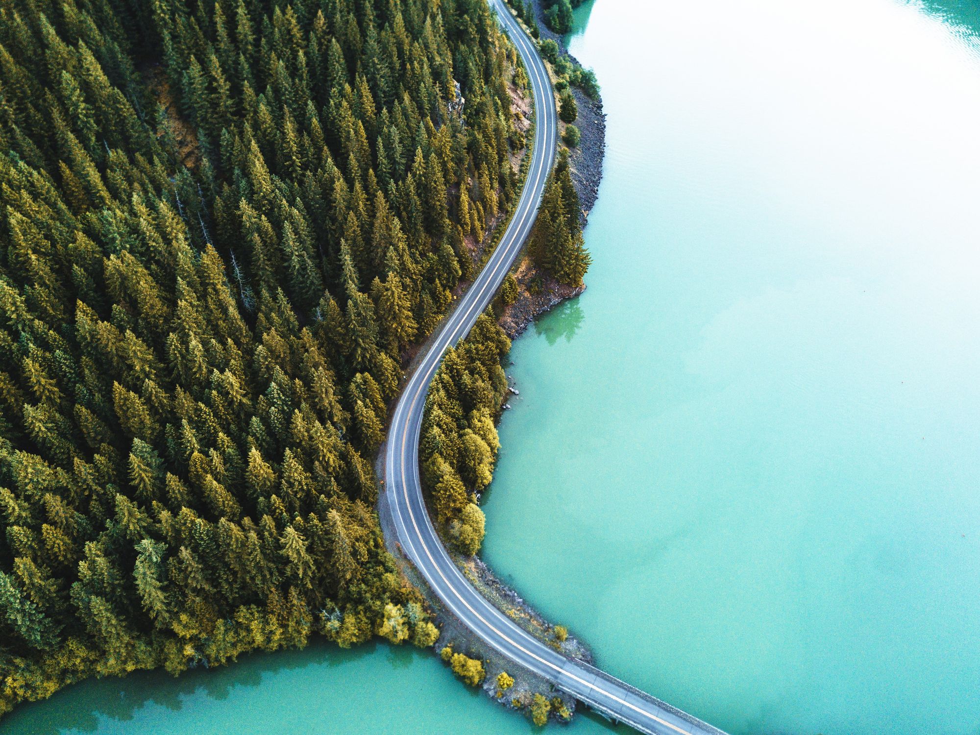 A road winds over blue water and through green pine trees.