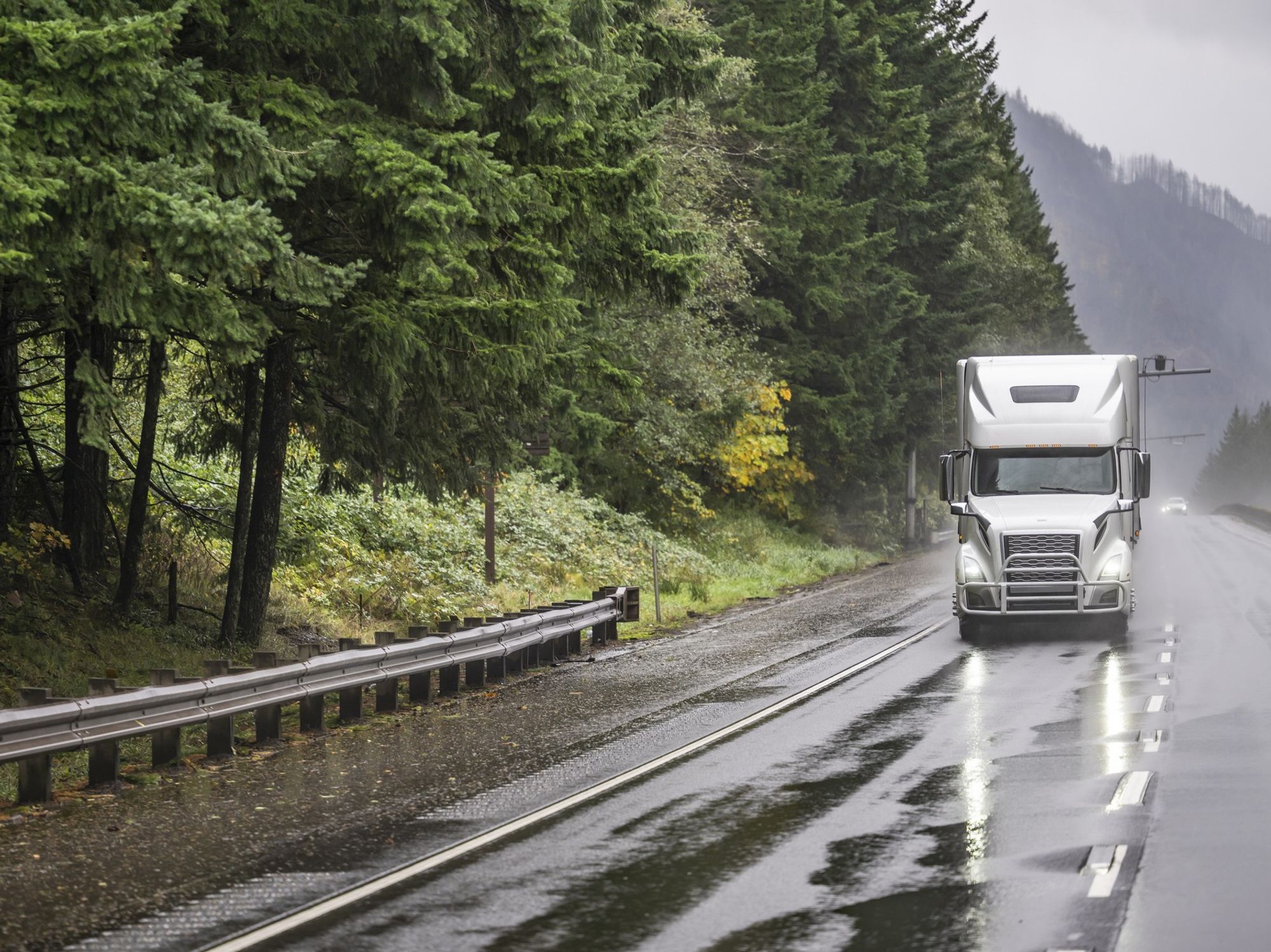 A white semi truck drives on a rainy road surrounded by green trees.
