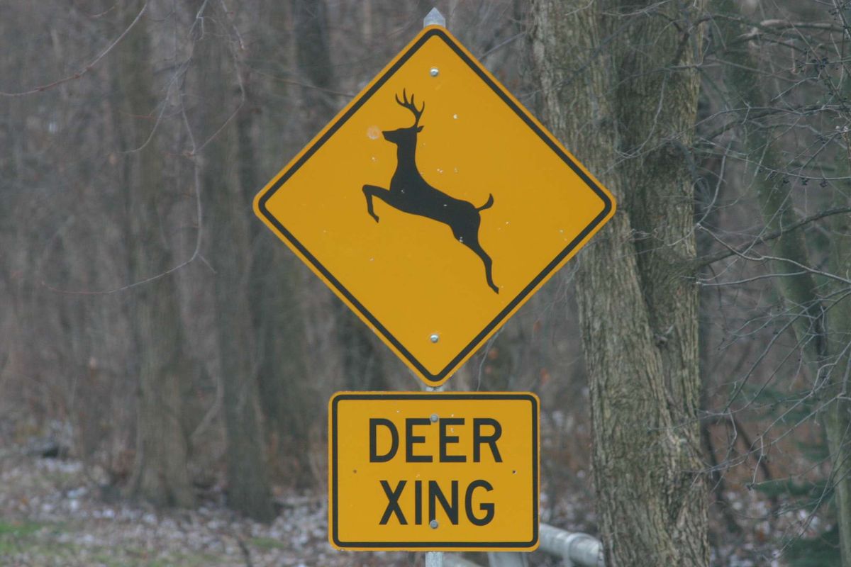 A yellow Deer XING sign against a forest of trees.