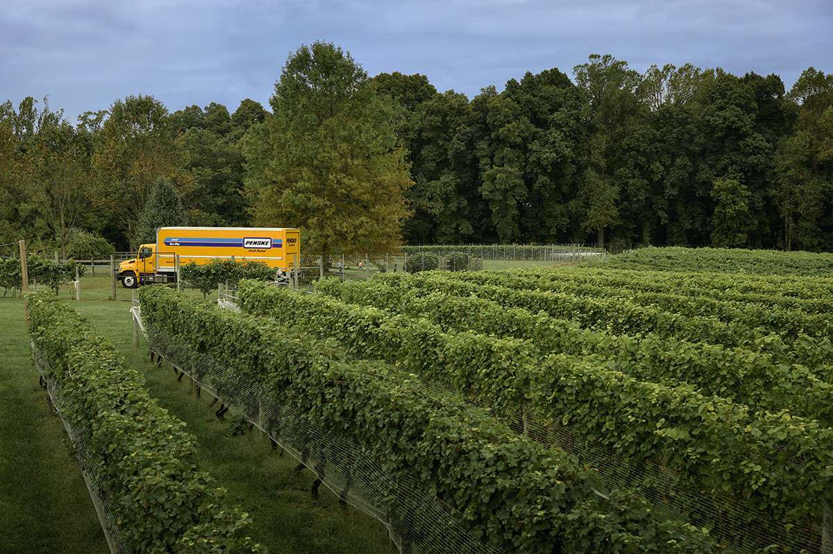 A yellow Penske box truck sits in a wine vineyard.