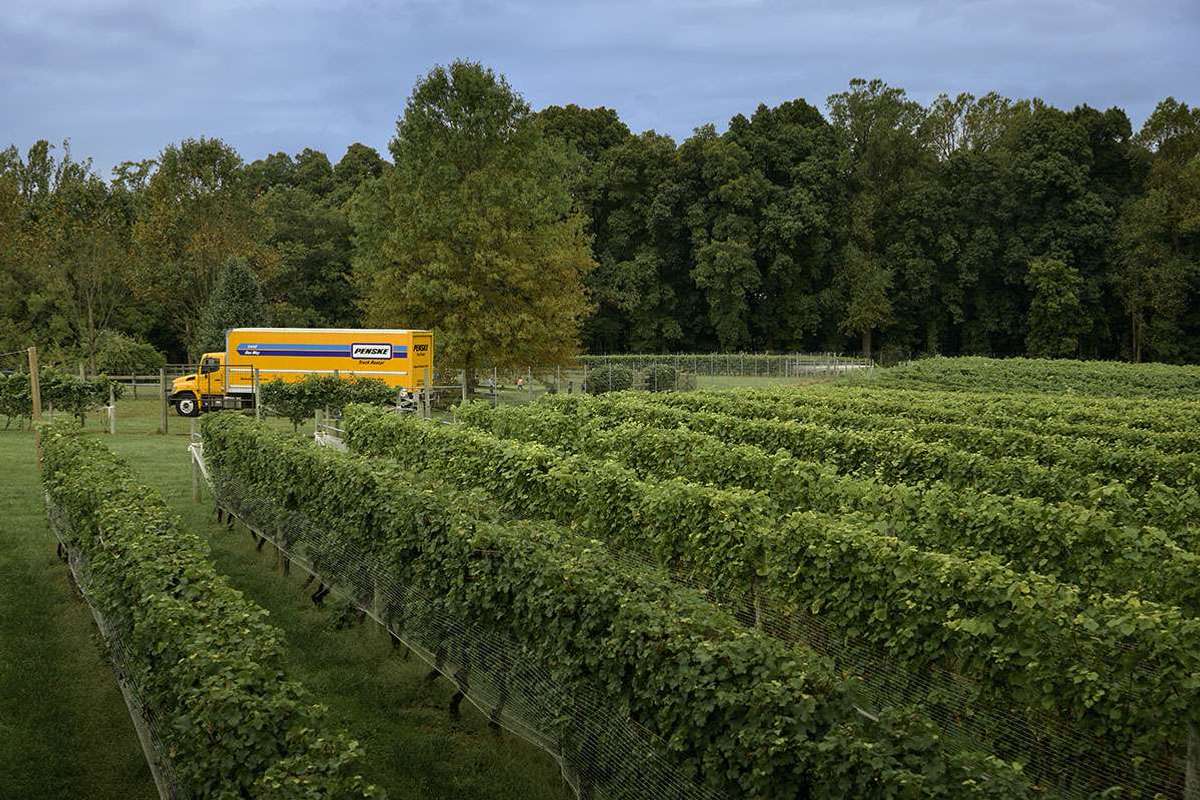 A yellow Penske box truck sits in a wine vineyard.