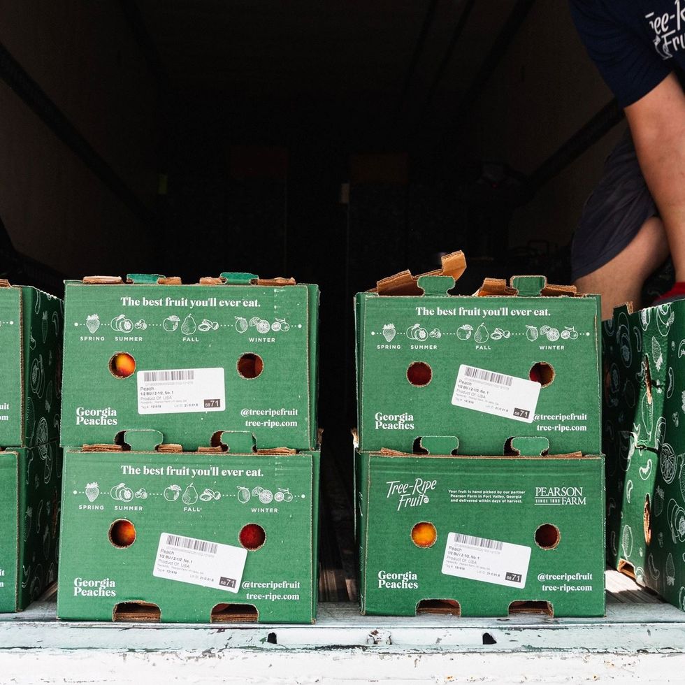 Tree Ripe Boxes